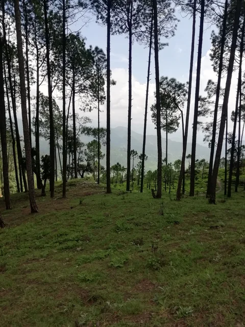 गढ़वाली चित्र