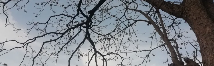 मेरा कुछ ख्याल