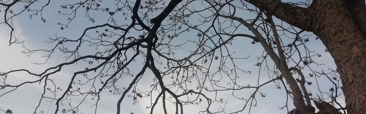 मेरा कुछ ख्याल