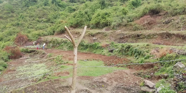 गढ़वाली चित्र